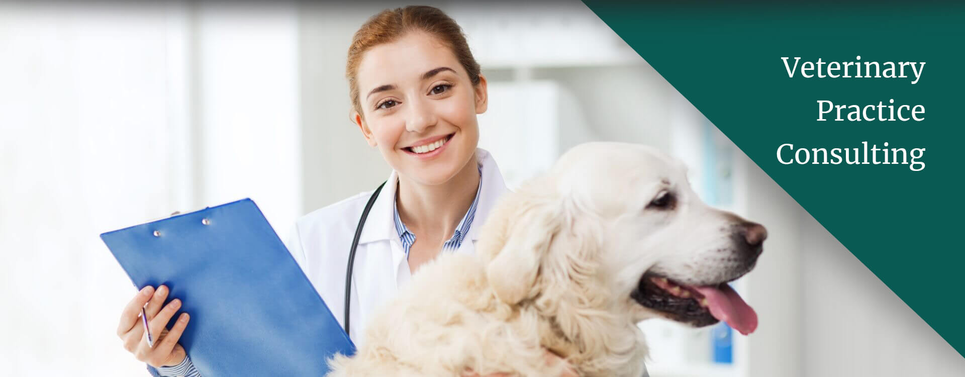 Veterinary CPAs Accountants Pet Hospital Colorado